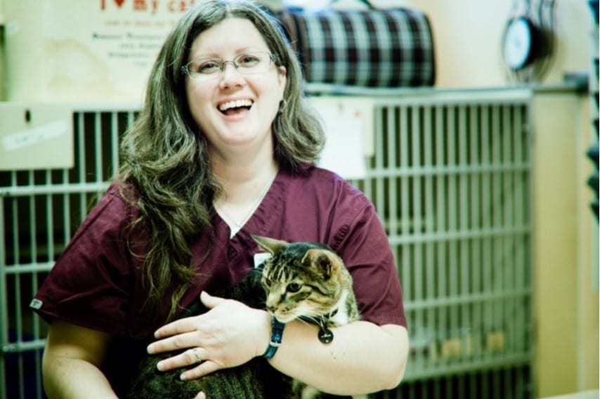 Vet tech holding cat